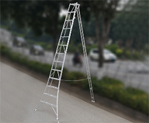 �r(n��ng)ˇ��CQNYϵ��